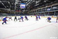 В Туле состоялось торжественное закрытие Чемпионата Тульской любительской хоккейной лиги, Фото: 10