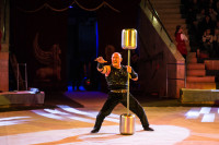 "Чудеса под Новый год" в Тульском цирке, Фото: 36