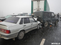 Аварии на трассе Тула-Новомосковск. , Фото: 19
