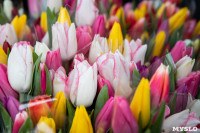 8 марта компания «Автоимпорт» дарила тулячкам-автоледи цветы, Фото: 4
