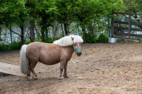 Куда можно сходить с детьми на каникулах, Фото: 2