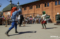 В центре Тулы рыцари устроили сражение: фоторепортаж, Фото: 90