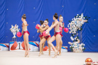 Соревнования по художественной гимнастике на призы благотворительного фонда «Земляки», Фото: 70