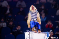 Премьера новогоднего шоу в Тульском цирке, Фото: 17