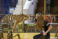 Фитнес для тигрят: как воспитываются будущие звезды цирка?, Фото: 28