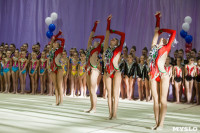Всероссийские соревнования по художественной гимнастике на призы Посевиной, Фото: 27