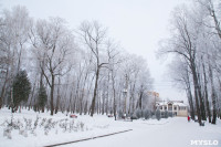 Платоновский парк в инее, Фото: 48