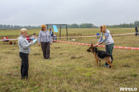 Международная выставка собак, Барсучок. 5.09.2015, Фото: 65