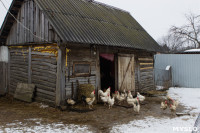 Фермерское хозяйство Людмилы Коробовой, Фото: 1