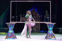 Цирковое шоу Жар птица, Фото: 23