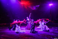 Шоу Гии Эрадзе «5 континентов» в Тульском цирке: феерия уже началась!, Фото: 92