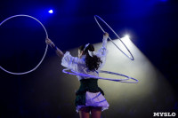 Хоровод в Тульском цирке, Фото: 48