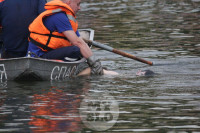 В пруду Центрального парка утонул подросток, Фото: 9