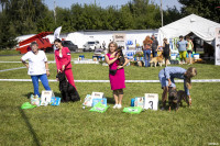 В Туле прошла выставка собак всех пород: фоторепортаж, Фото: 15