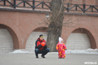 Масленица в Торговых рядах тульского кремля, Фото: 41