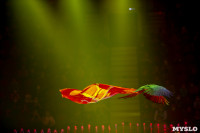 Шоу фонтанов «13 месяцев» в Тульском цирке – подарите себе и близким путевку в сказку!, Фото: 41