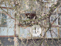 В Туле упавшее на девятиэтажку дерево повредило несколько балконов, Фото: 6
