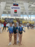 Тульские гимнастки успешно выступили на соревнованиях в Брянске, Фото: 1