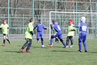 XIV Межрегиональный детский футбольный турнир памяти Николая Сергиенко, Фото: 39