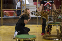 Фитнес для тигрят: как воспитываются будущие звезды цирка?, Фото: 32