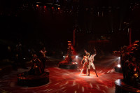 Новое грандиозное шоу Гии Эрадзе «Королевский цирк» стартует в Тульском цирке, Фото: 12