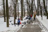Рогожинский парк, зима 2019, Фото: 6