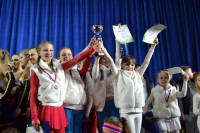 Открытый Чемпионат Тульской области по черлидингу, Фото: 75