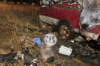 В Туле бездомный заживо сгорел в машине, в которой жил, Фото: 3