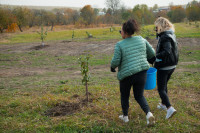 В Ясной Поляне посадили яблони, Фото: 69
