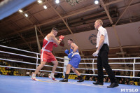 Финал турнира по боксу "Гран-при Тулы", Фото: 220
