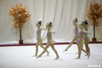 Соревнования по художественной гимнастике "Осенний вальс", Фото: 77