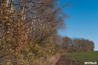 Золотая осень по-тульски, Фото: 152