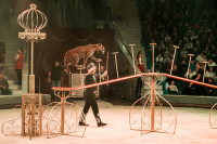 "Чудеса под Новый год" в Тульском цирке, Фото: 56