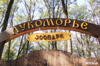 В Новомосковске открылся мини-зоопарк, Фото: 1