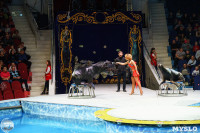 Цирк на воде «Остров сокровищ» в Туле: Здесь невозможное становится возможным, Фото: 83