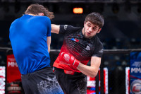 В «Тула-Арене» состоялись областные соревнования по ММА, Фото: 101