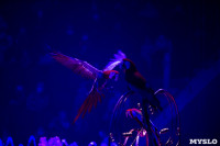 Шоу фонтанов «13 месяцев» в Тульском цирке – подарите себе и близким путевку в сказку!, Фото: 23