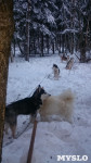 Зимний поход с собаками, Фото: 14