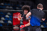 В «Тула-Арене» состоялись областные соревнования по ММА, Фото: 146