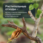 Складирование растительных отходов на контейнерных площадках, Фото: 2