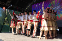 Яркие краски «Национального калейдоскопа»: в Туле прошел фестиваль национальных культур, Фото: 16