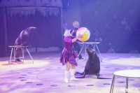 «Чудеса Новогодней Ёлки» ждут вас в Тульском цирке, Фото: 84
