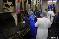 Конкурс профессионального мастерства среди операторов машинного доения коров, Фото: 48