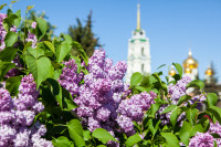 Фотопроект "Тула. Времена года", Фото: 3