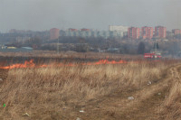 Возгорание сухой травы напротив ТЦ "Метро", 7.04.2014, Фото: 27