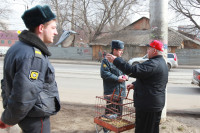 Акция «Благовещение без жертв», Фото: 15