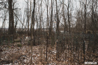 Кладбища Алексина зарастают мусором и деревьями, Фото: 12