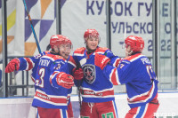 Соревнования по хоккею за Кубок губернатора Тульской области, Фото: 115