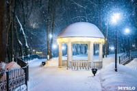 Топ-10 мест в Туле для красивых зимних фото, Фото: 6