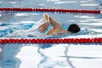 В ФОКе Венева школьников научат плавать, Фото: 24